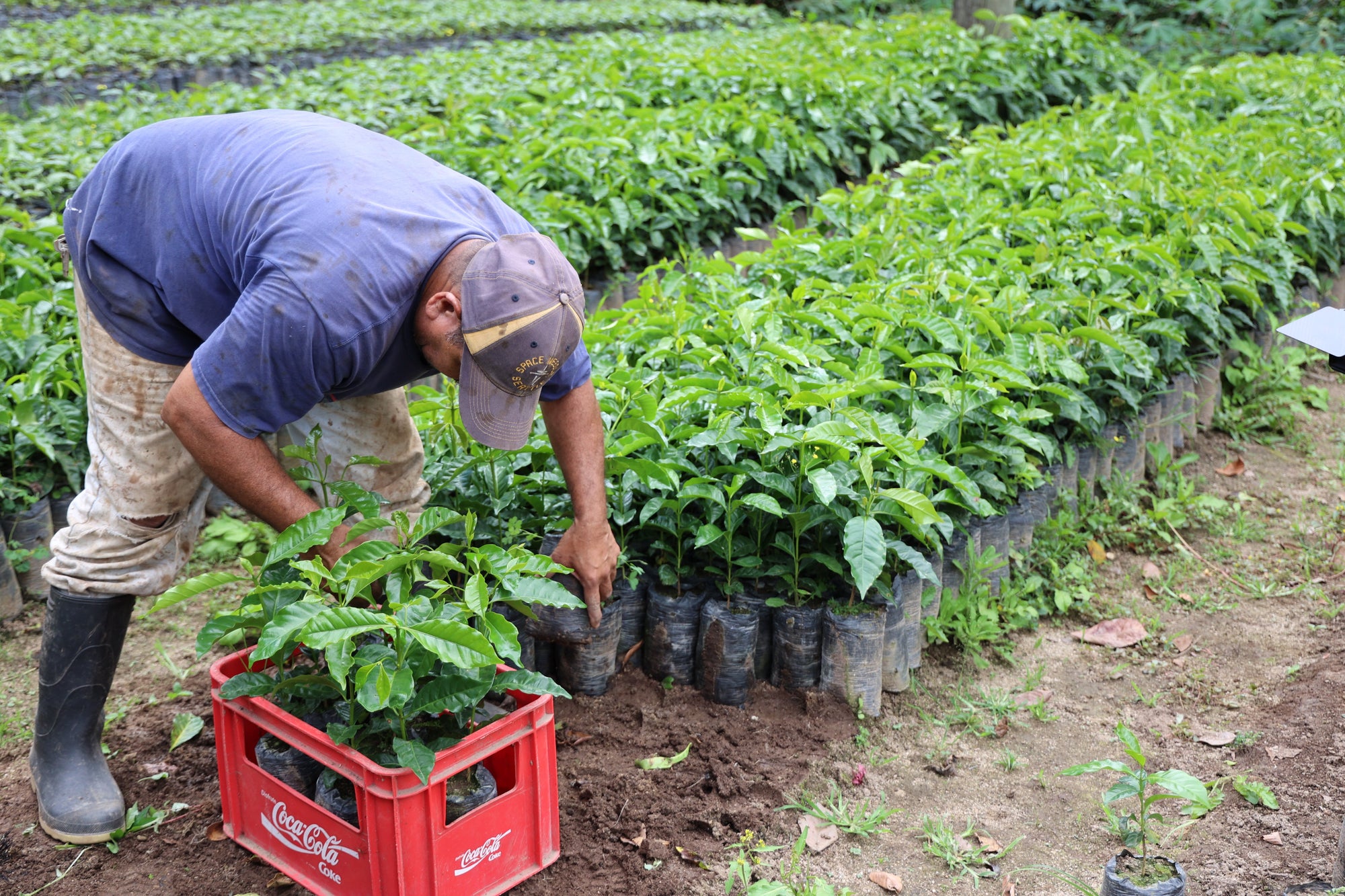 World of Coffee Was Inspiring—But It Also Got Me Thinking
